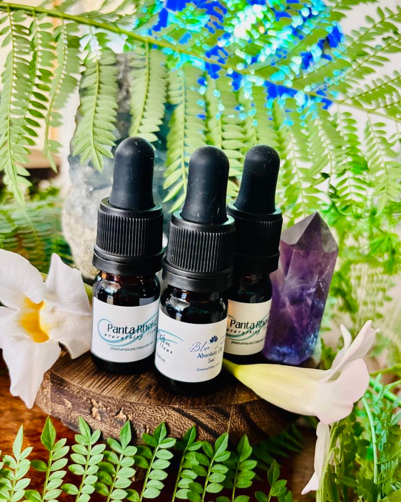 Blue Lotus Absolute Oil 15ml
